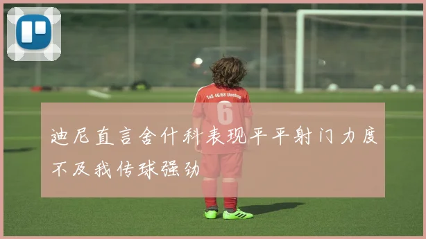 迪尼直言舍什科表现平平射门力度不及我传球强劲